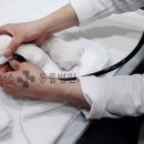 해운대 플러스동물병원 이미지