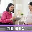 바디핏테라피 이미지