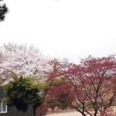 이상태농장 이미지