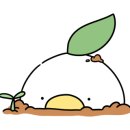 헬로반디 이미지