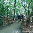 박달林