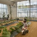 알찬농장 이미지