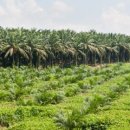 동남농장 이미지