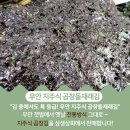 밀물상회