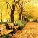 송정동-11 이미지