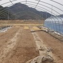 신일농장 이미지