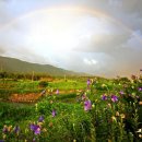 무지개농장 이미지