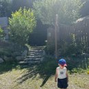 더덜하우스 이미지