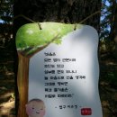 도신자원 | 노고산 흥국사(북한산입구), 박상성, 유리상자, 우순실, 도신스님, 김성남 원흥지구, 은평뉴타운, 구파발역