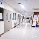 성인 미술 취미 추천: 유화그리기 수업 두 달 차 후기