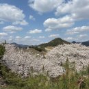 금채컴퍼니 이미지