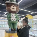 인천강아지분양 테디럽 이미지