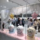 베이비 치이카와 팝업스토어 후기