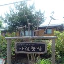 한국채소소믈리에협회 이미지