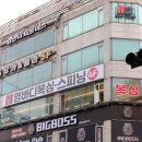 영바디복싱 이미지