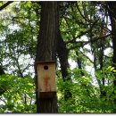 삼정초등학교 이미지