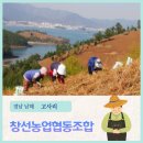 창선농업협동조합 이미지