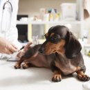 우리동네 이미지