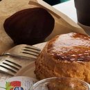 101애견유치원 | 고양 애견카페 TOP10 (브이로그·캠핑 분위기)