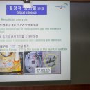 피정권