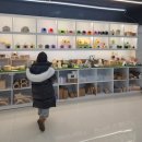 그린목욕탕 | 부산 햄스터분양 패러그린 대연점 방문후기! [내돈내산]