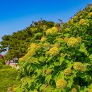 화서공원 이미지