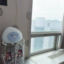아비쥬 | 구월동 [인천 아비쥬] 피부시술 솔직 후기. 인모드Fx,프락셀