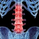 더조은정형외과의원 이미지