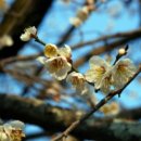 산새음 | 사랑과 감동이 함께 하는 정겨운 순천(順天) Ⅱ편:청정도량인 천년고찰! 한국불교태교총림 선암사<1>