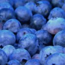 달콤한 밥상 이미지