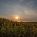 동진강변공원 이미지