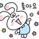 아이펀키즈태권도 이미지