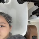 차니시움