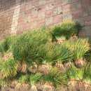 노은동경로당 이미지