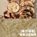 달동산오징어 | [울산] 삼산 노포술집 오징어회 맛집 달동산오징어