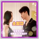 (주)동효 | 중드 소일자(小日子)_위티비 추천 드라마_진효_동효_부부의 위기