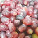 애니브리즈 이미지