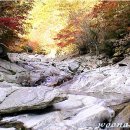 운악산 등산로 이미지