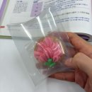 교생 후기