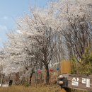 더숲요양병원 이미지