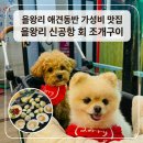 6416 | 을왕리 애견동반 가능한 조개구이 맛집! 신공항 회 조개구이에서 배 터지고 온 후기