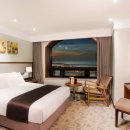 제주로베로 이미지