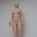 지평선한의원 이미지