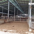 초원1 태양광발전소 이미지