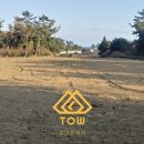 표선리-4 이미지