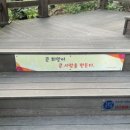원주양평횟집