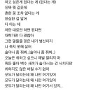 솔직히 윤기(Agust D) so far away 가사 대박적임. 모든 청춘들이 듣고 위로 받았으면 이미지