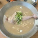 초전칼국수 | 진주 언양닭칼국수 초전점 후기