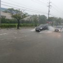 웅남동260 이미지