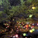 동국대학교 부설 미래융합교육원 | 동국대학교 부설 미래융합교육원 문헌정보학 전공 정사서2급 자격증 취득